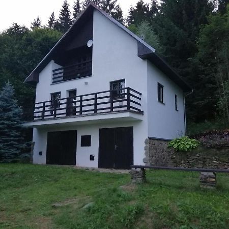 Chata Na Lipne Lipno nad Vltavou Zewnętrze zdjęcie